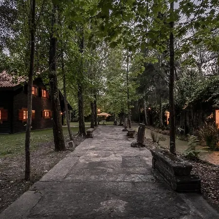 Prado Do Xisto - De Madeira A 7km De