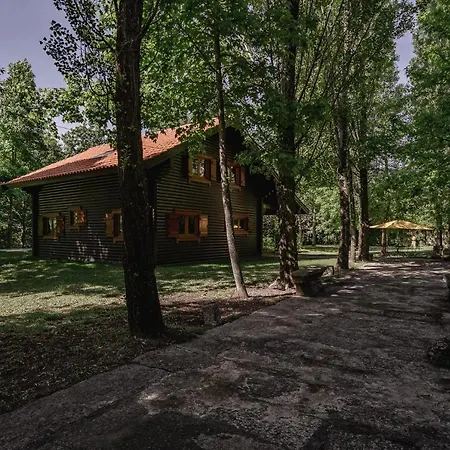 Prado Do Xisto - De Madeira A 7km De 4* Braga