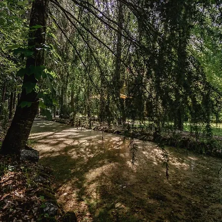 Prado Do Xisto - Chale De Madeira A 7km De 招待所 4*