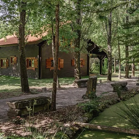 Prado Do Xisto - De Madeira A 7km De Pensión Braga