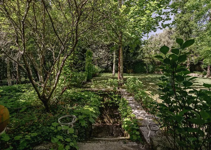 Prado Do Xisto - Chale De Madeira A 7km De 4* Braga