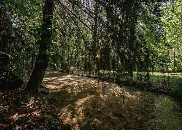 Prado Do Xisto - Chale De Madeira A 7km De Гостевой дом 4*